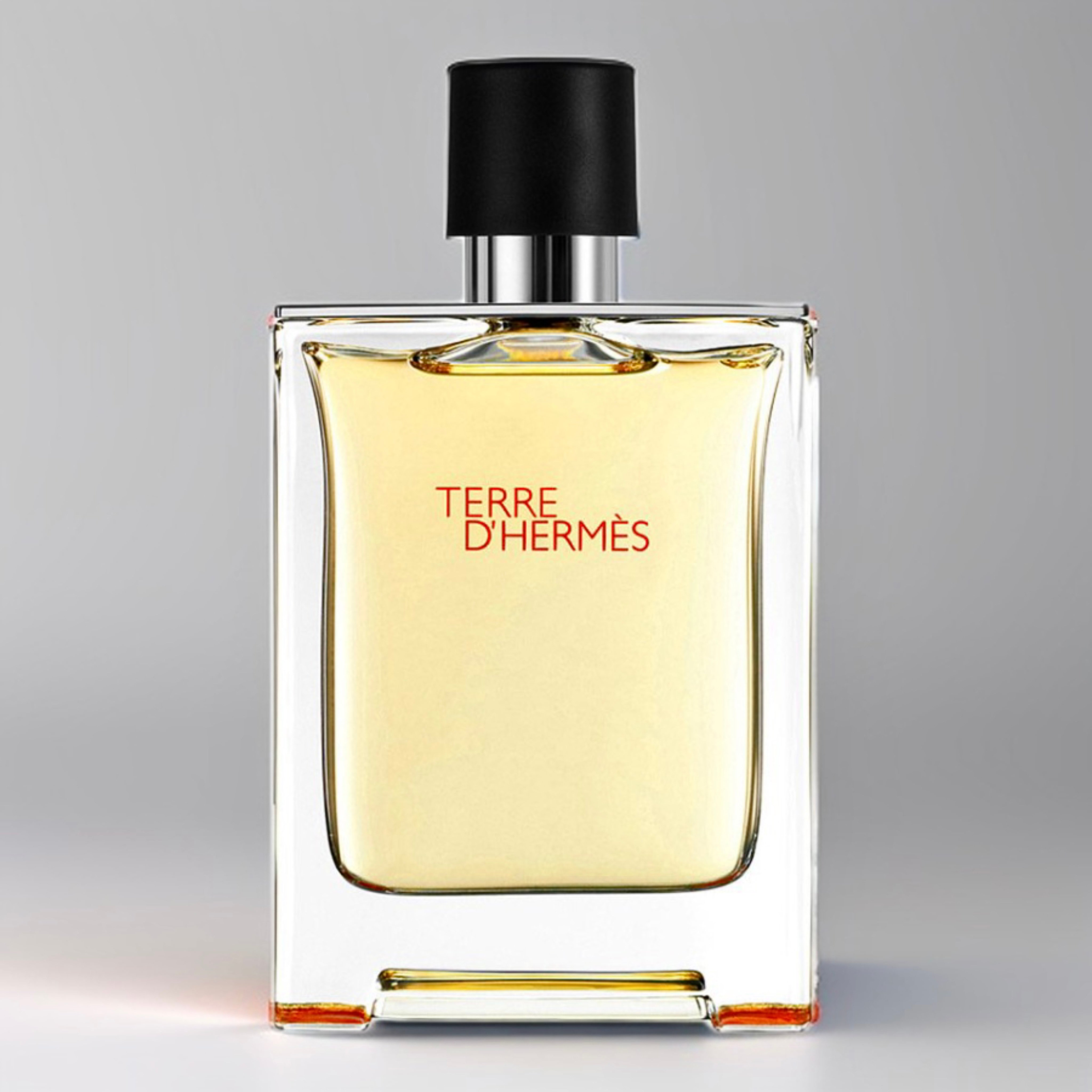 Hermès - Terre d'Hermès EdT