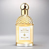 Guerlain Aqua Allegoria - Mandarine Basilic - scentify.no