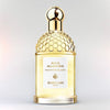 Guerlain Aqua Allegoria - Bergamote Calabria - scentify.no